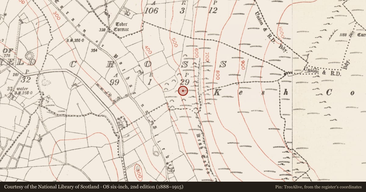 Ordnance Survey six-inch map, 2nd edition (1888–1915) covering the location of Platform, Cross, County Sligo, with a pin at the register's coordinates