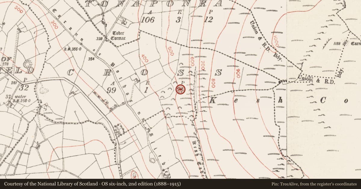 Ordnance Survey six-inch map, 2nd edition (1888–1915) covering the location of Platform, Cross, County Sligo, with a pin at the register's coordinates