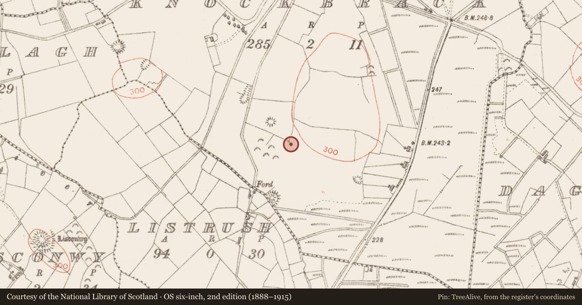 Ordnance Survey six-inch map, 2nd edition (1888–1915) covering the location of Enclosure, Knockbrack, County Sligo, with a pin at the register's coordinates