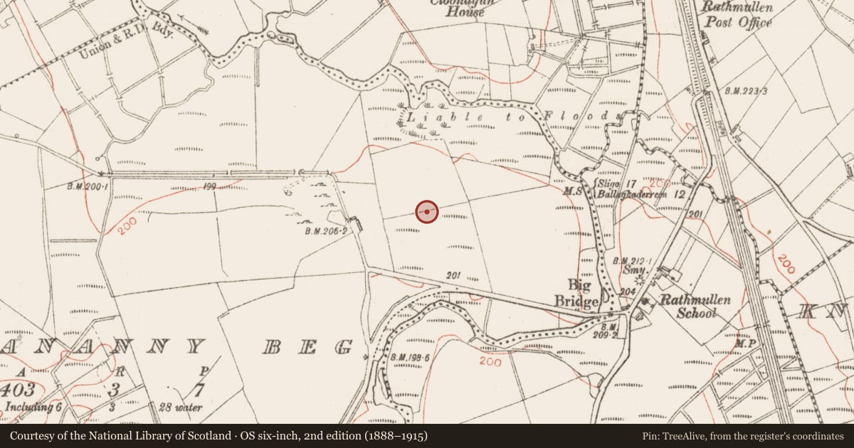 Ordnance Survey six-inch map, 2nd edition (1888–1915) covering the location of Ringfort - rath, Lissananny Beg, County Sligo, with a pin at the register's coordinates