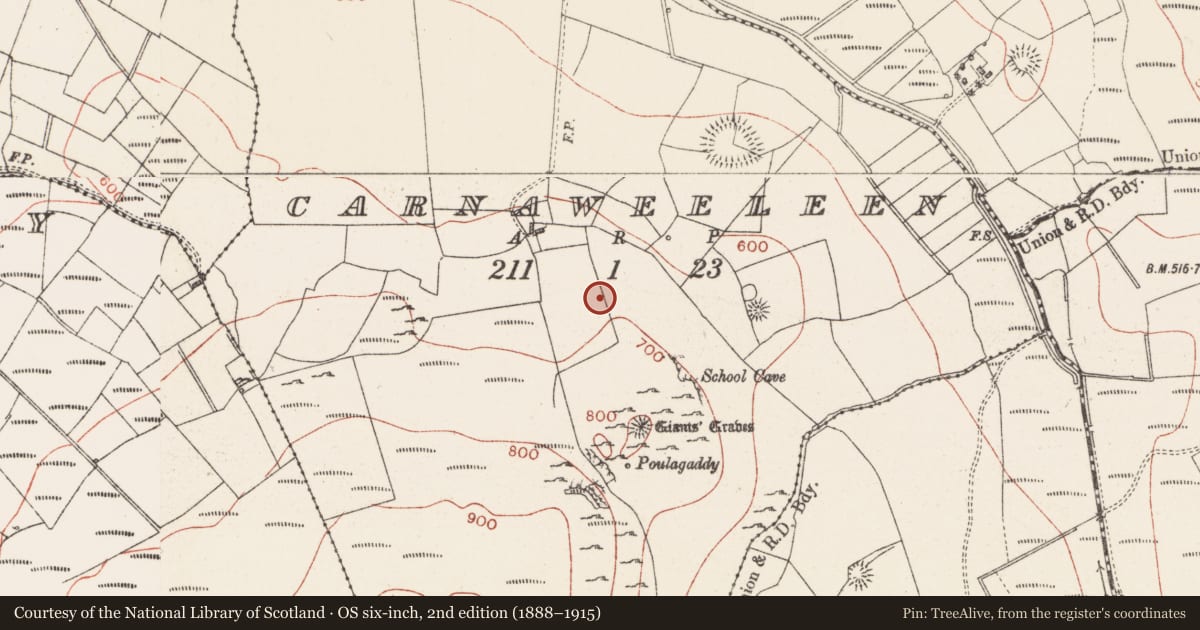 Ordnance Survey six-inch map, 2nd edition (1888–1915) covering the location of Quarry, Carnaweeleen, County Sligo, with a pin at the register's coordinates