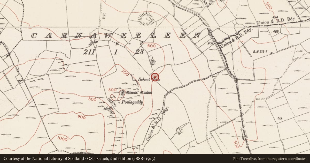 Ordnance Survey six-inch map, 2nd edition (1888–1915) covering the location of Ringfort - rath, Carnaweeleen, County Sligo, with a pin at the register's coordinates