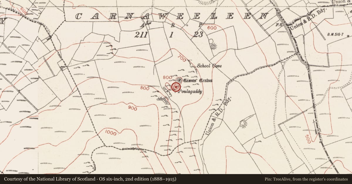 Ordnance Survey six-inch map, 2nd edition (1888–1915) covering the location of Enclosure, Carnaweeleen, County Sligo, with a pin at the register's coordinates