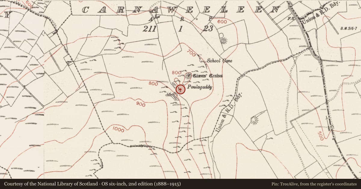 Ordnance Survey six-inch map, 2nd edition (1888–1915) covering the location of Hut site, Carnaweeleen, County Sligo, with a pin at the register's coordinates