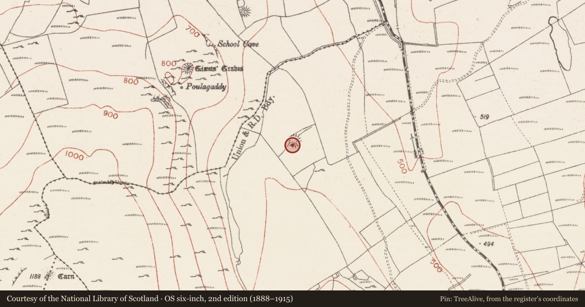 Ordnance Survey six-inch map, 2nd edition (1888–1915) covering the location of Ringfort - rath, Treanmore, County Sligo, with a pin at the register's coordinates