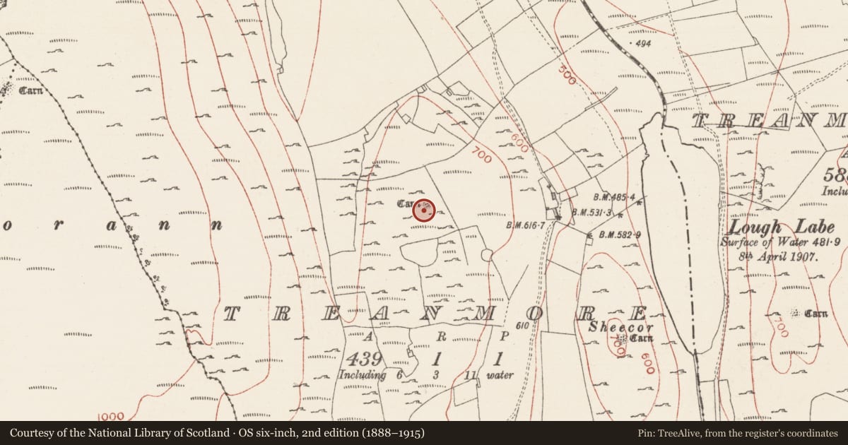 Ordnance Survey six-inch map, 2nd edition (1888–1915) covering the location of Cairn - unclassified, Treanmore, County Sligo, with a pin at the register's coordinates