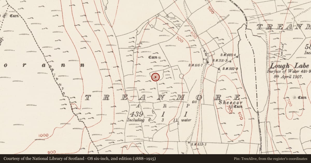 Ordnance Survey six-inch map, 2nd edition (1888–1915) covering the location of Enclosure, Treanmore, County Sligo, with a pin at the register's coordinates