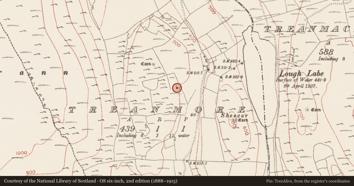 Ordnance Survey six-inch map, 2nd edition (1888–1915) covering the location of Ringfort - cashel, Treanmore, County Sligo, with a pin at the register's coordinates