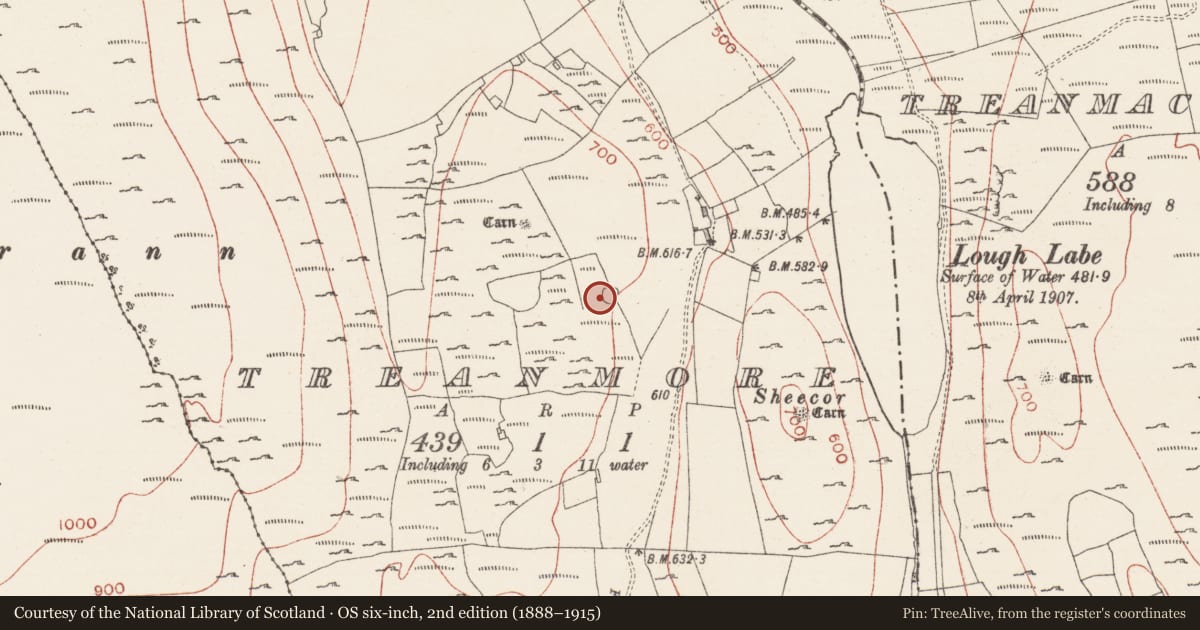 Ordnance Survey six-inch map, 2nd edition (1888–1915) covering the location of Hut site, Treanmore, County Sligo, with a pin at the register's coordinates