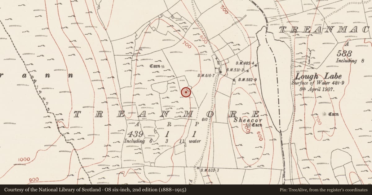 Ordnance Survey six-inch map, 2nd edition (1888–1915) covering the location of Hut site, Treanmore, County Sligo, with a pin at the register's coordinates