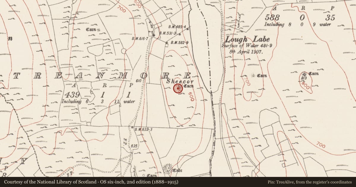 Ordnance Survey six-inch map, 2nd edition (1888–1915) covering the location of Cairn - unclassified, Treanmore, County Sligo, with a pin at the register's coordinates