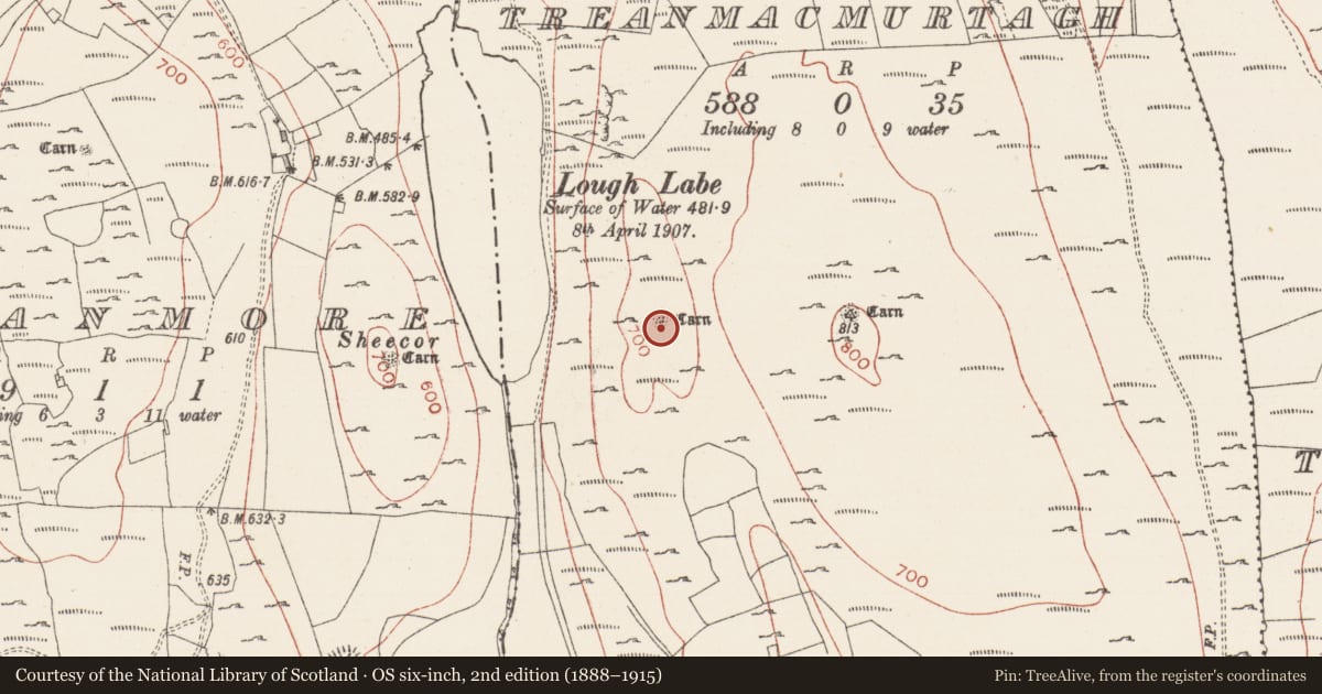 Ordnance Survey six-inch map, 2nd edition (1888–1915) covering the location of Cist, Treanmacmurtagh, County Sligo, with a pin at the register's coordinates