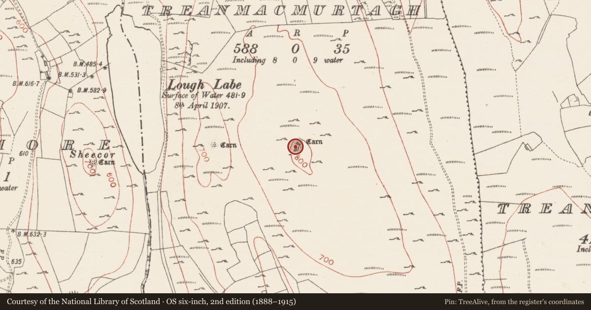 Ordnance Survey six-inch map, 2nd edition (1888–1915) covering the location of Cist, Treanmacmurtagh, County Sligo, with a pin at the register's coordinates