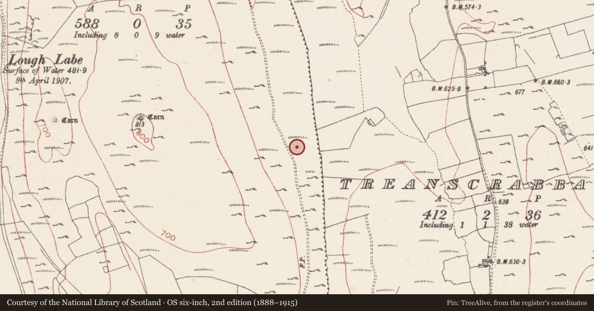 Ordnance Survey six-inch map, 2nd edition (1888–1915) covering the location of Fulacht fia, Treanmacmurtagh, County Sligo, with a pin at the register's coordinates