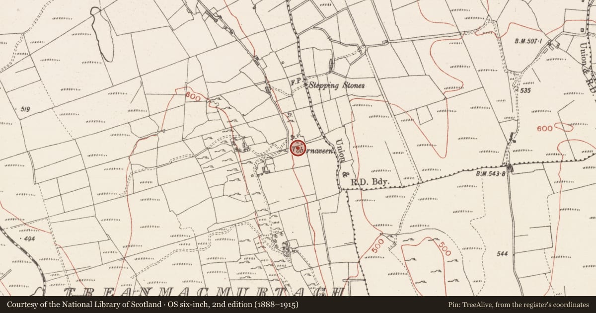 Ordnance Survey six-inch map, 2nd edition (1888–1915) covering the location of Ritual site - holy well, Treanmacmurtagh, County Sligo, with a pin at the register's coordinates
