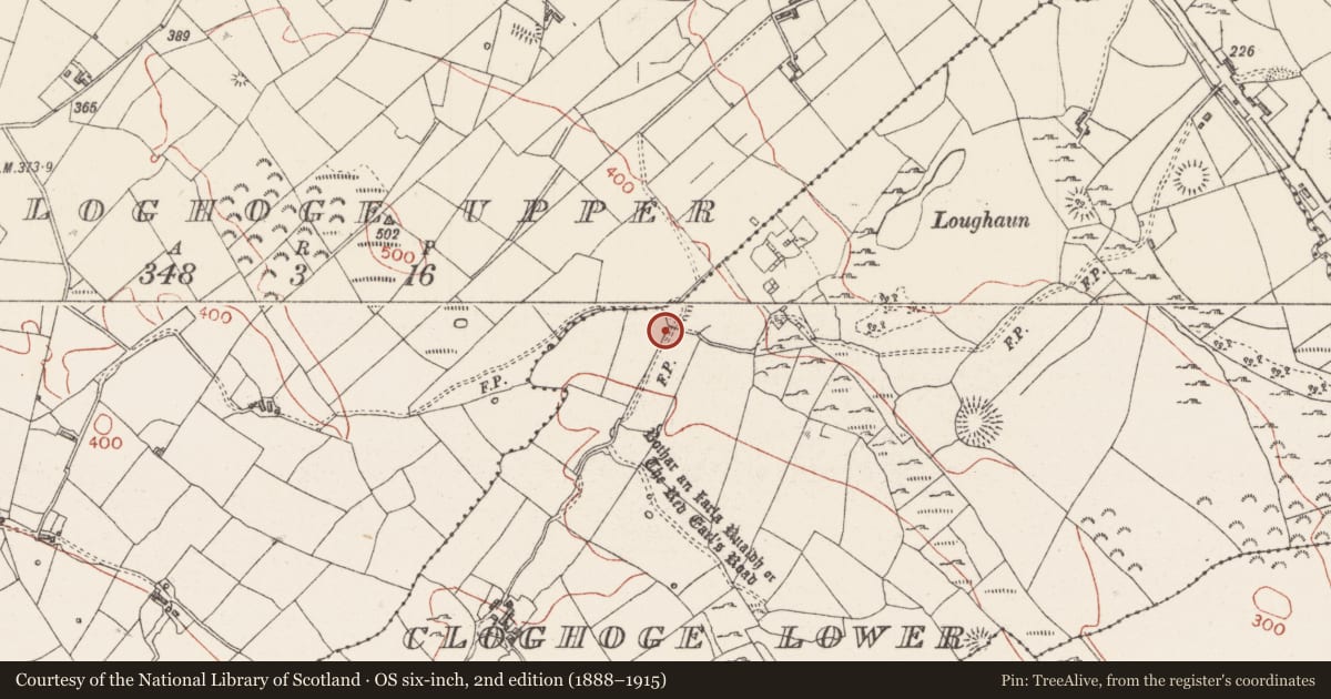 Ordnance Survey six-inch map, 2nd edition (1888–1915) covering the location of Enclosure, Cloghoge Lower, County Sligo, with a pin at the register's coordinates