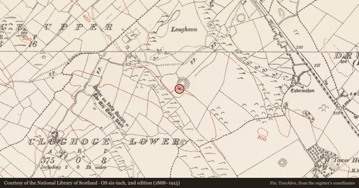 Ordnance Survey six-inch map, 2nd edition (1888–1915) covering the location of Ringfort - rath, Cloghoge Lower, County Sligo, with a pin at the register's coordinates
