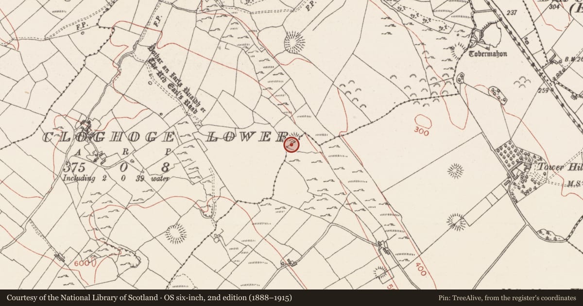 Ordnance Survey six-inch map, 2nd edition (1888–1915) covering the location of Enclosure, Cloghoge Lower, County Sligo, with a pin at the register's coordinates