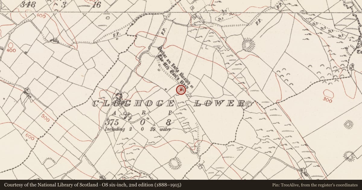 Ordnance Survey six-inch map, 2nd edition (1888–1915) covering the location of Road - road/trackway, Cloghoge Lower, County Sligo, with a pin at the register's coordinates