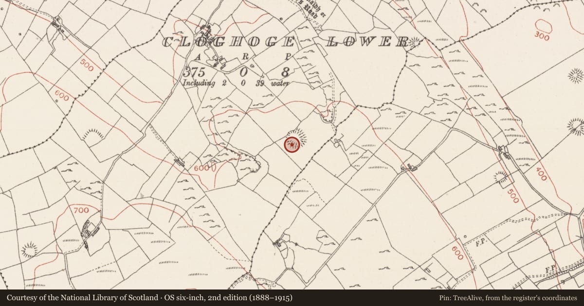 Ordnance Survey six-inch map, 2nd edition (1888–1915) covering the location of Ringfort - rath, Cloghoge Lower, County Sligo, with a pin at the register's coordinates