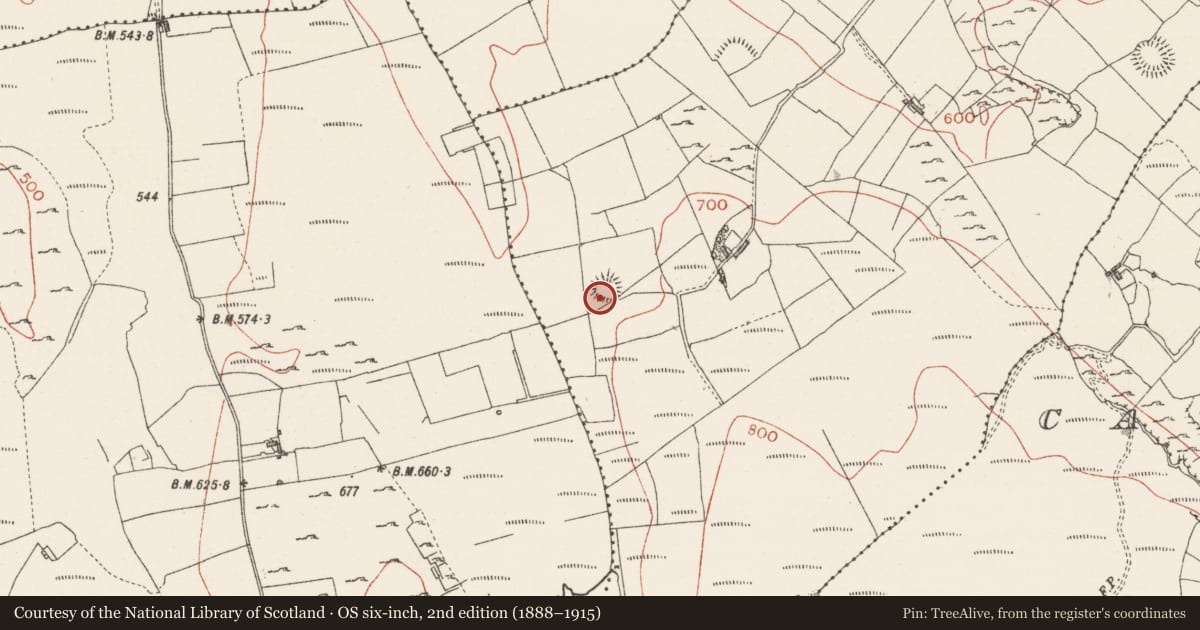 Ordnance Survey six-inch map, 2nd edition (1888–1915) covering the location of Ringfort - rath, Cloghoge Lower, County Sligo, with a pin at the register's coordinates