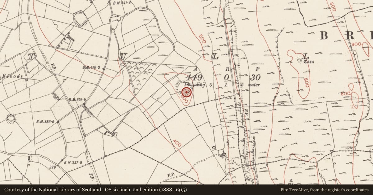 Ordnance Survey six-inch map, 2nd edition (1888–1915) covering the location of Hut site, Tully, County Sligo, with a pin at the register's coordinates