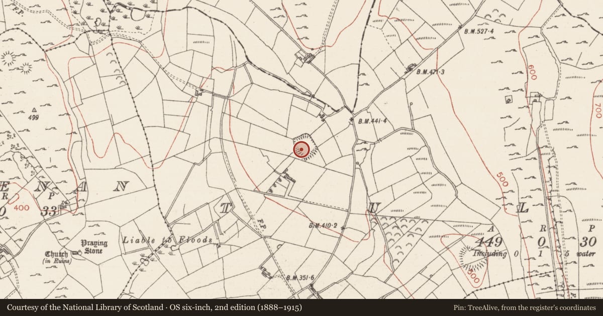 Ordnance Survey six-inch map, 2nd edition (1888–1915) covering the location of Ringfort - rath, Tully, County Sligo, with a pin at the register's coordinates