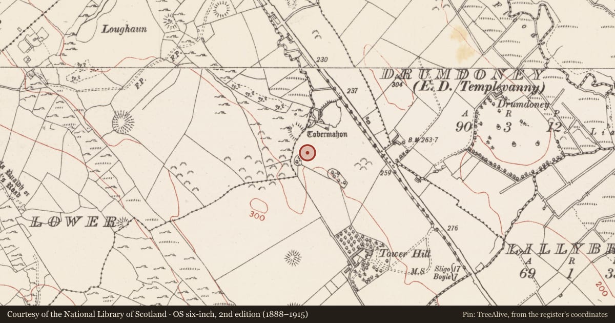 Ordnance Survey six-inch map, 2nd edition (1888–1915) covering the location of Fulacht fia, Carrowkeel, County Sligo, with a pin at the register's coordinates
