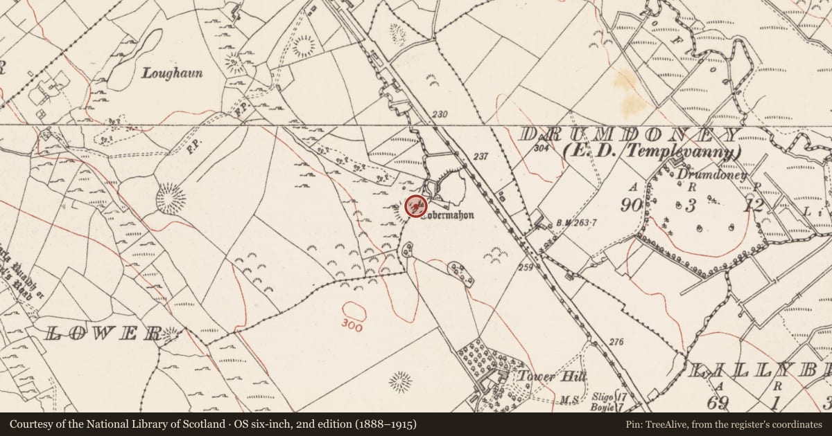 Ordnance Survey six-inch map, 2nd edition (1888–1915) covering the location of Ritual site - holy well, Cloghoge Lower, County Sligo, with a pin at the register's coordinates