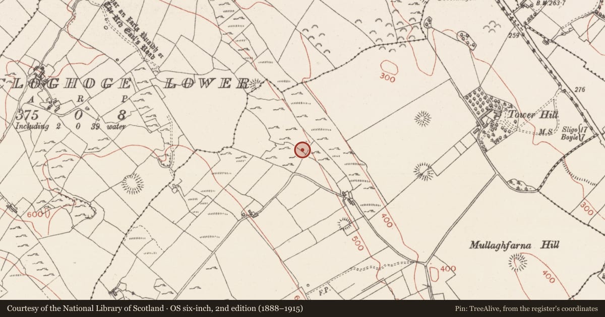 Ordnance Survey six-inch map, 2nd edition (1888–1915) covering the location of Enclosure, Carrowkeel, County Sligo, with a pin at the register's coordinates
