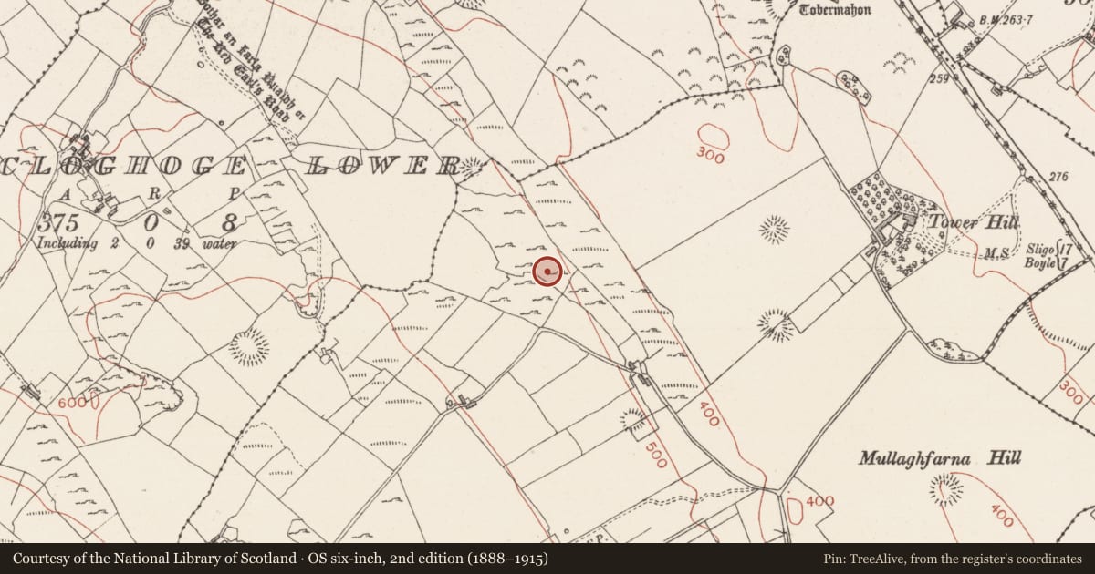 Ordnance Survey six-inch map, 2nd edition (1888–1915) covering the location of Field system, Carrowkeel, County Sligo, with a pin at the register's coordinates