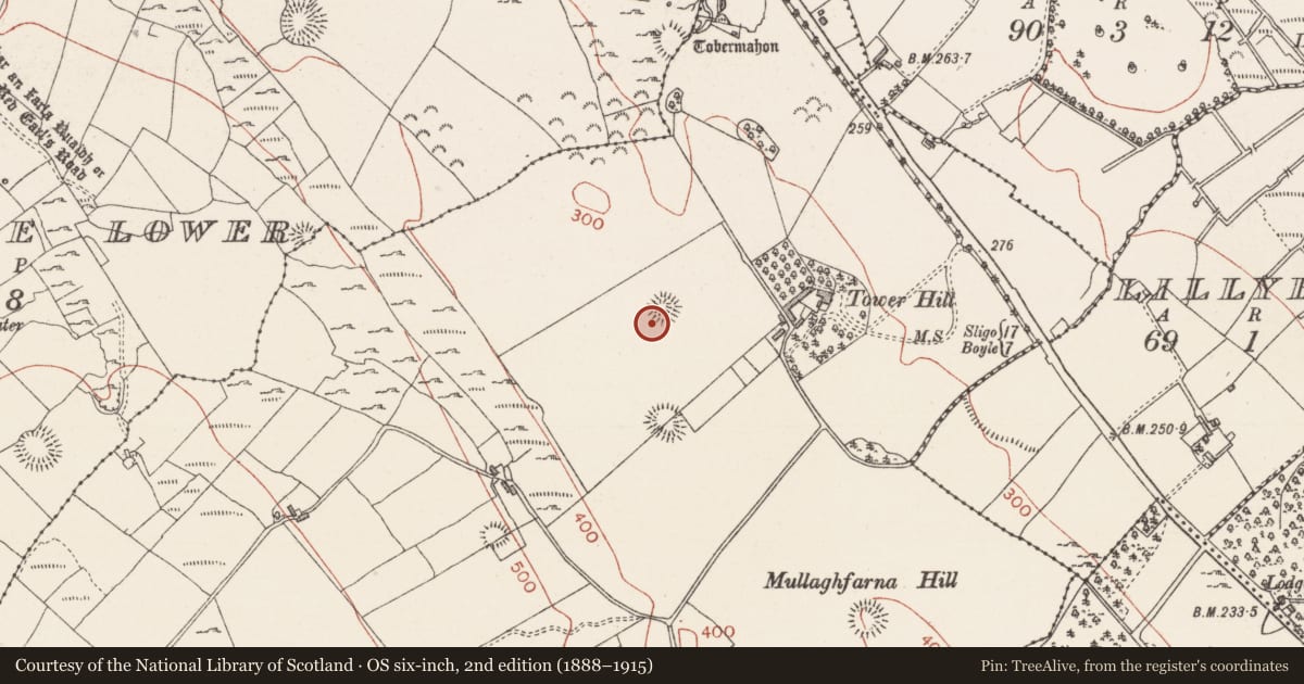 Ordnance Survey six-inch map, 2nd edition (1888–1915) covering the location of Enclosure, Carrowkeel, County Sligo, with a pin at the register's coordinates