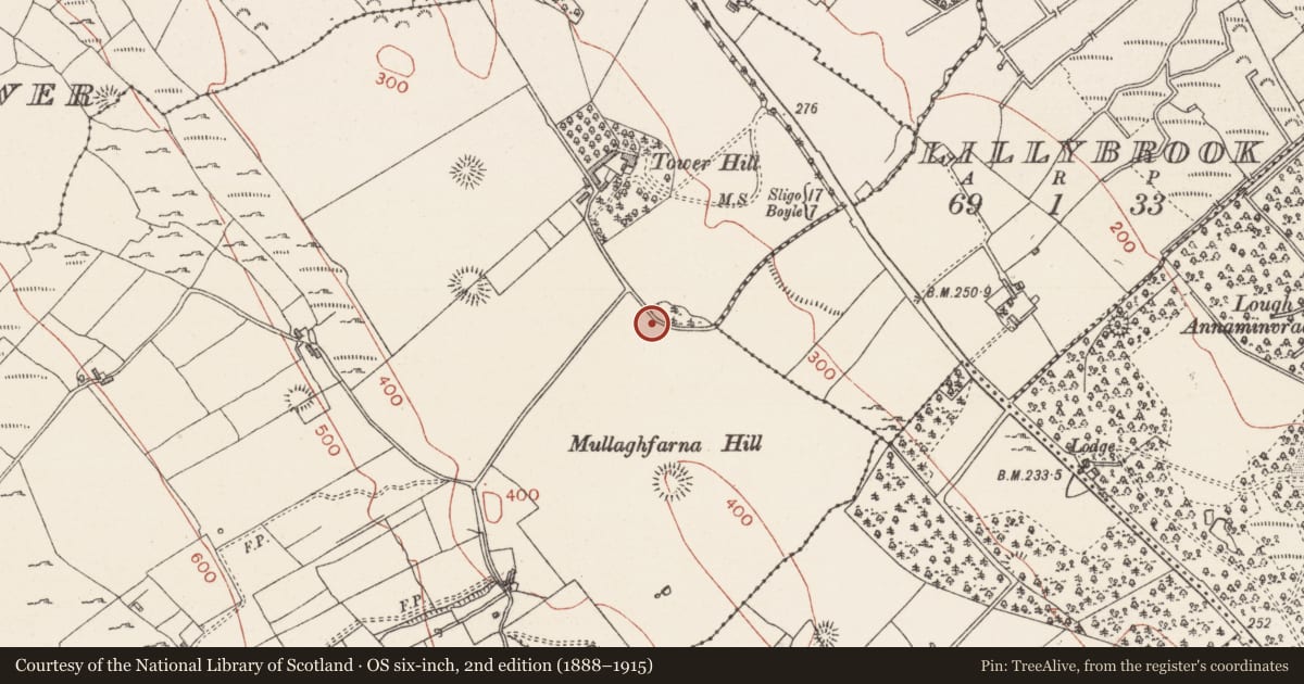 Ordnance Survey six-inch map, 2nd edition (1888–1915) covering the location of Ringfort - cashel, Carrowkeel, County Sligo, with a pin at the register's coordinates