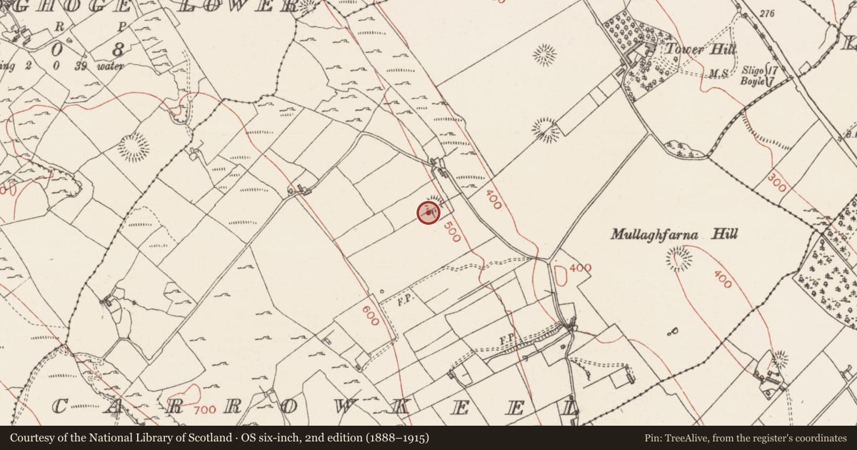 Ordnance Survey six-inch map, 2nd edition (1888–1915) covering the location of Enclosure, Carrowkeel, County Sligo, with a pin at the register's coordinates