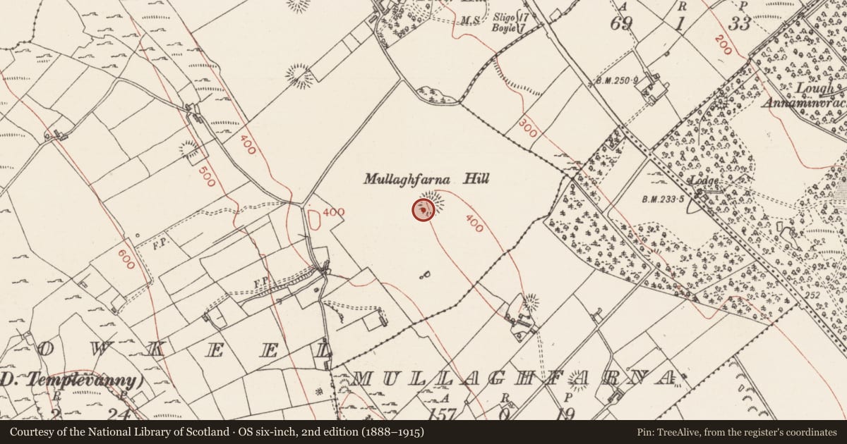 Ordnance Survey six-inch map, 2nd edition (1888–1915) covering the location of Ringfort - rath, Carrowkeel, County Sligo, with a pin at the register's coordinates