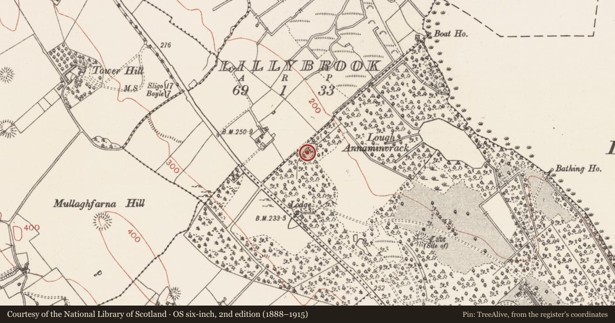 Ordnance Survey six-inch map, 2nd edition (1888–1915) covering the location of Ringfort - rath, Ballyhealy Or Hollybrook Demesne, County Sligo, with a pin at the register's coordinates