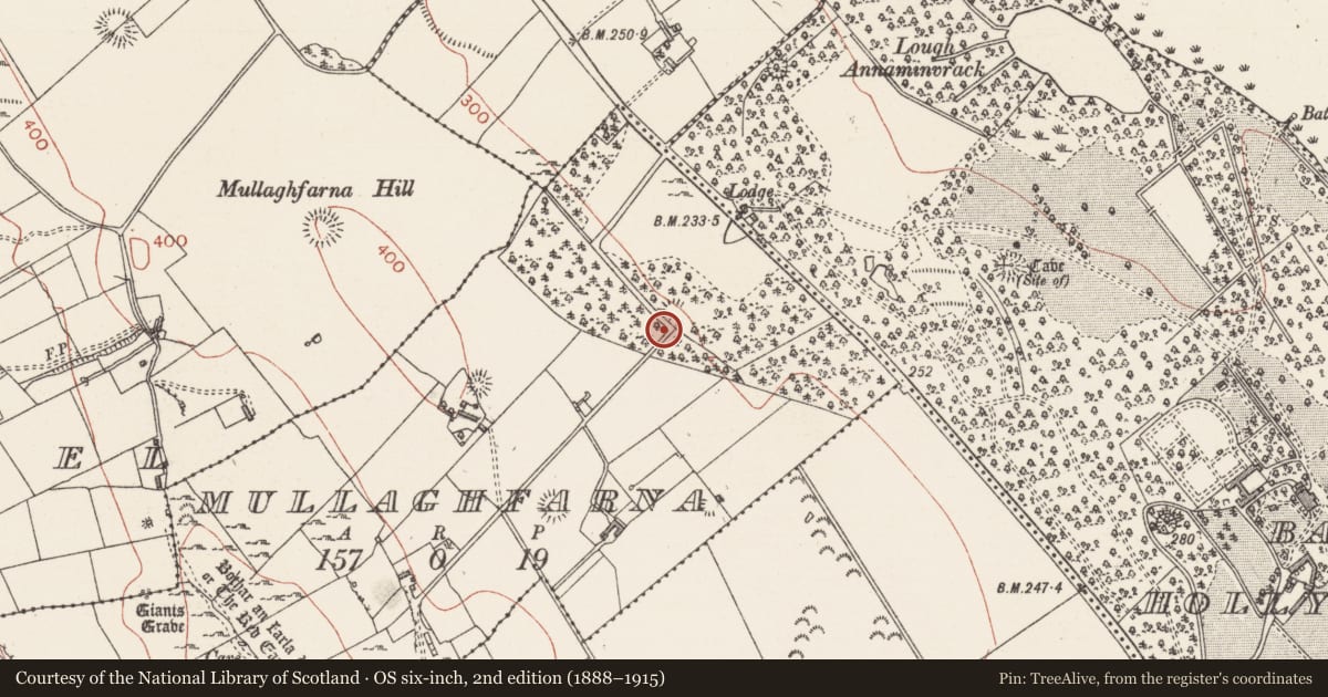 Ordnance Survey six-inch map, 2nd edition (1888–1915) covering the location of Ringfort - rath, Mullaghfarna, County Sligo, with a pin at the register's coordinates