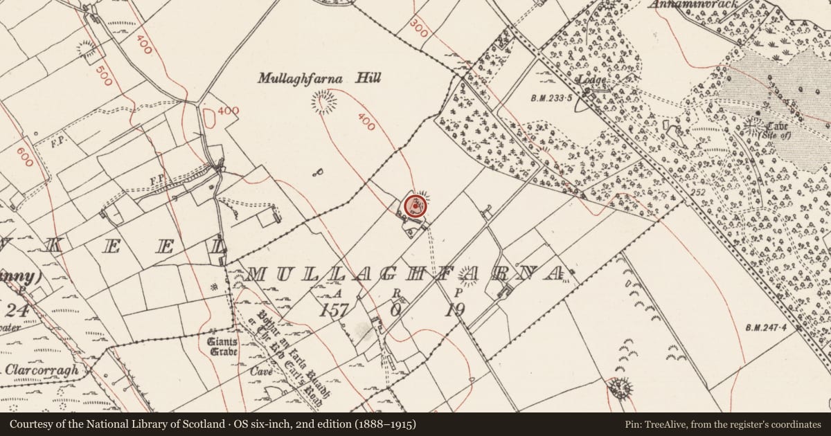 Ordnance Survey six-inch map, 2nd edition (1888–1915) covering the location of Ringfort - rath, Mullaghfarna, County Sligo, with a pin at the register's coordinates