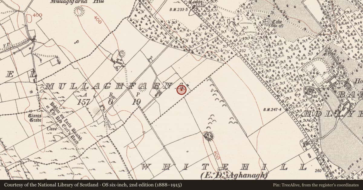 Ordnance Survey six-inch map, 2nd edition (1888–1915) covering the location of Ringfort - rath, Mullaghfarna, County Sligo, with a pin at the register's coordinates