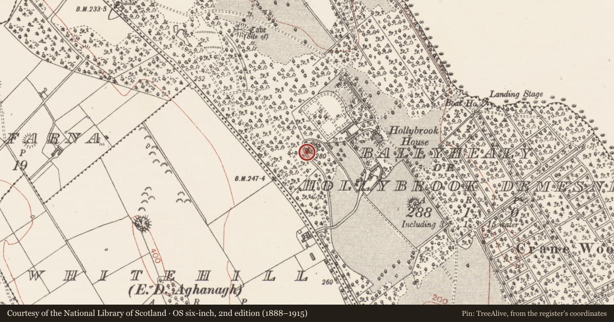 Ordnance Survey six-inch map, 2nd edition (1888–1915) covering the location of Ringfort - rath, Ballyhealy Or Hollybrook Demesne, County Sligo, with a pin at the register's coordinates