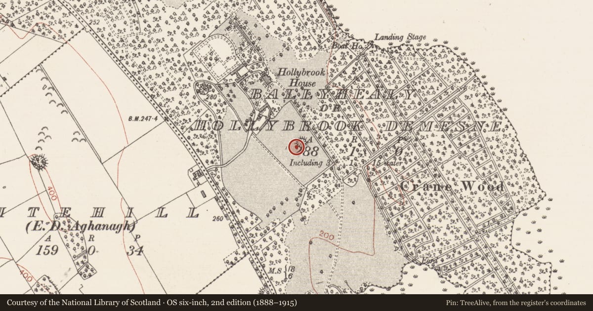 Ordnance Survey six-inch map, 2nd edition (1888–1915) covering the location of Ringfort - rath, Ballyhealy Or Hollybrook Demesne, County Sligo, with a pin at the register's coordinates