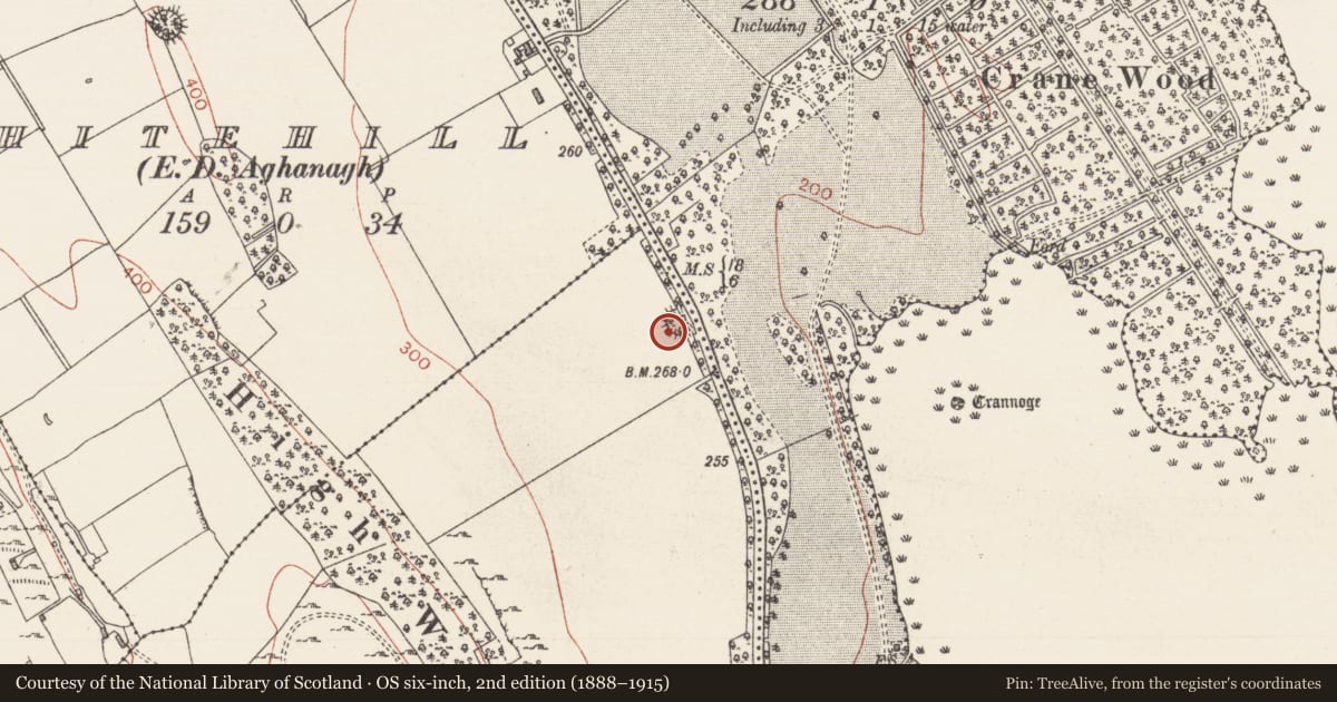 Ordnance Survey six-inch map, 2nd edition (1888–1915) covering the location of Enclosure, Knockroe, County Sligo, with a pin at the register's coordinates