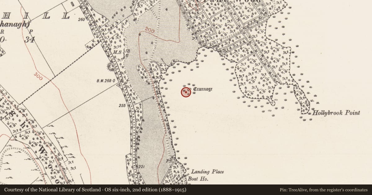 Ordnance Survey six-inch map, 2nd edition (1888–1915) covering the location of Crannog, Lough Arrow, County Sligo, with a pin at the register's coordinates