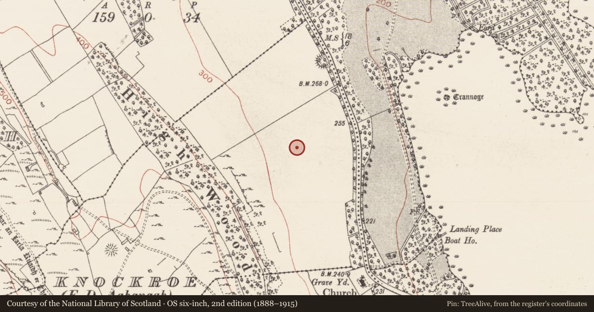 Ordnance Survey six-inch map, 2nd edition (1888–1915) covering the location of Quarry, Knockroe, County Sligo, with a pin at the register's coordinates