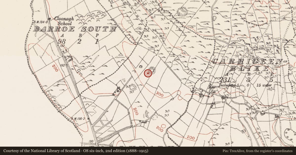 Ordnance Survey six-inch map, 2nd edition (1888–1915) covering the location of Ringfort - rath, Ballynary, County Sligo, with a pin at the register's coordinates
