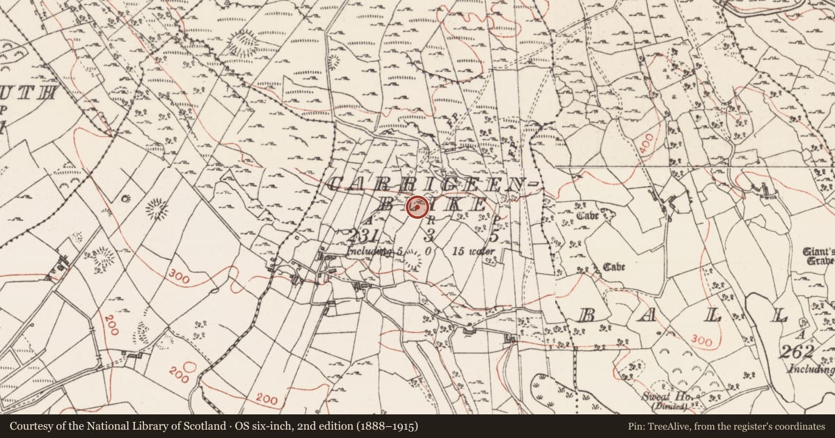 Ordnance Survey six-inch map, 2nd edition (1888–1915) covering the location of Enclosure, Carrigeenblike, County Sligo, with a pin at the register's coordinates