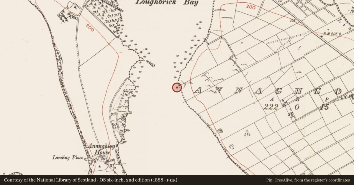 Ordnance Survey six-inch map, 2nd edition (1888–1915) covering the location of Enclosure, Annaghgowan, County Sligo, with a pin at the register's coordinates