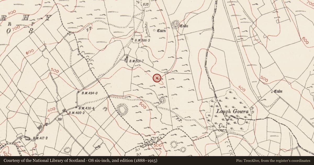 Ordnance Survey six-inch map, 2nd edition (1888–1915) covering the location of Field system, Greenan, Treanmore, County Sligo, with a pin at the register's coordinates