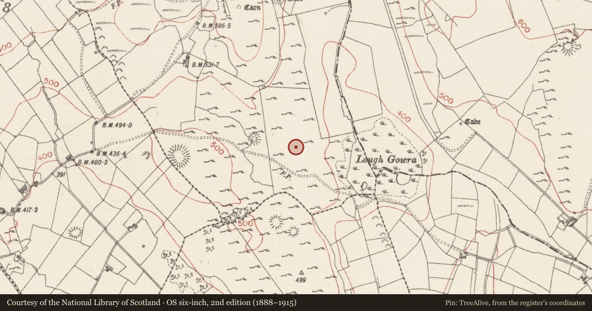 Ordnance Survey six-inch map, 2nd edition (1888–1915) covering the location of Enclosure, Treanmore, County Sligo, with a pin at the register's coordinates