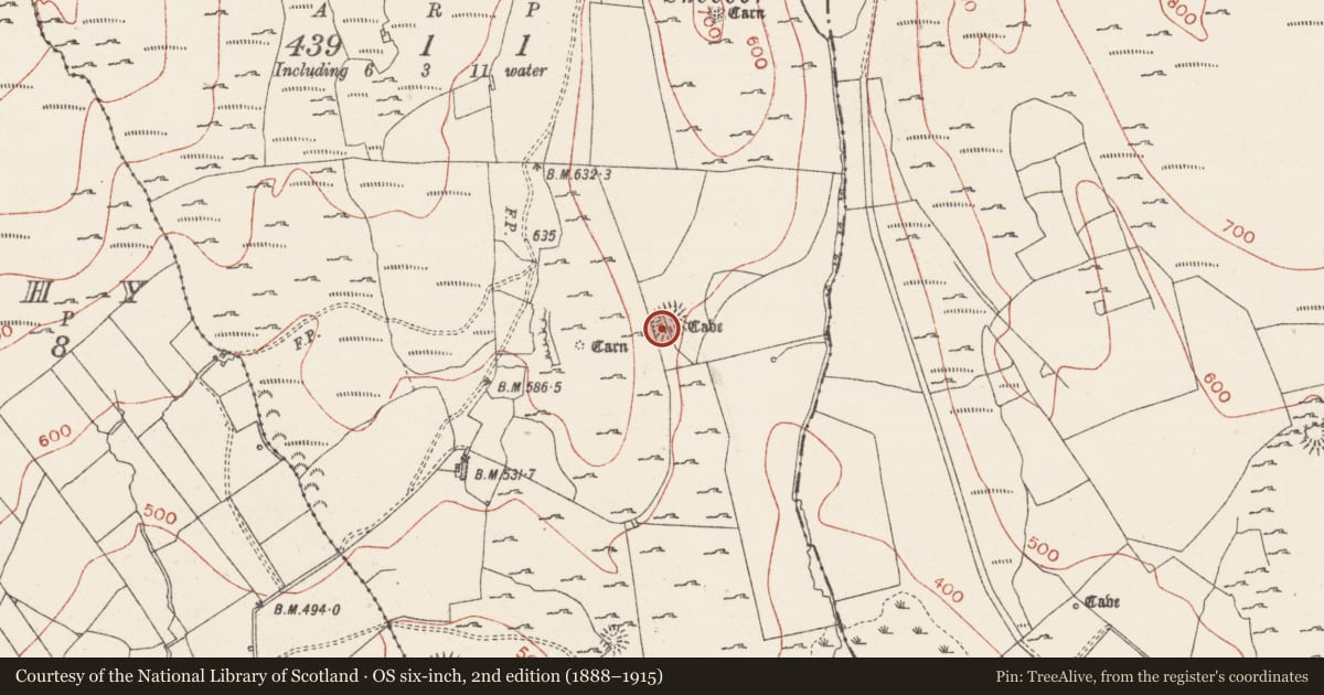 Ordnance Survey six-inch map, 2nd edition (1888–1915) covering the location of Ringfort - cashel, Treanmore, County Sligo, with a pin at the register's coordinates